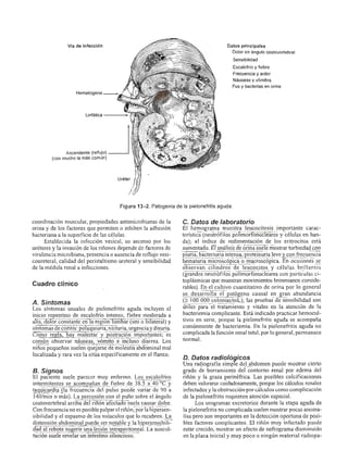 Urologia smith 11_ed