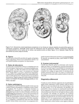 Urologia smith 11_ed