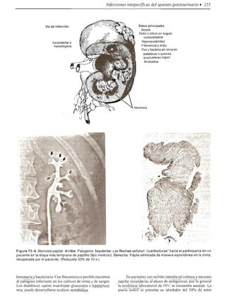 Urologia smith 11_ed