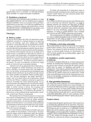 Urologia smith 11_ed