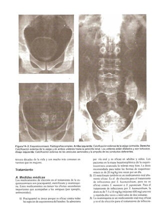 Urologia smith 11_ed