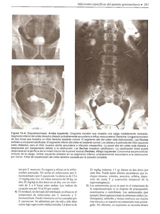 Urologia smith 11_ed
