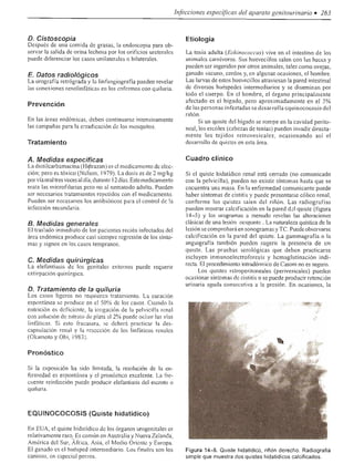 Urologia smith 11_ed