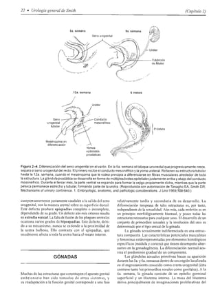 Urologia smith 11_ed