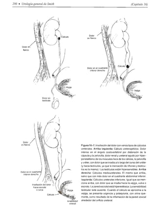 Urologia smith 11_ed