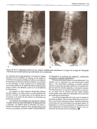 Urologia smith 11_ed