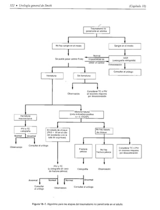 Urologia smith 11_ed