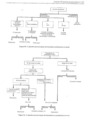 Urologia smith 11_ed
