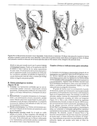 Urologia smith 11_ed