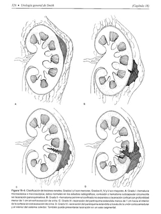 Urologia smith 11_ed
