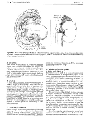 Urologia smith 11_ed