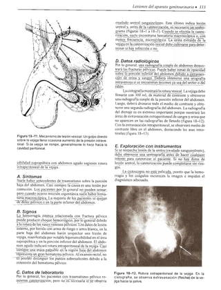 Urologia smith 11_ed