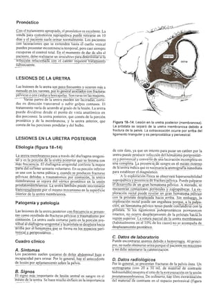 Urologia smith 11_ed