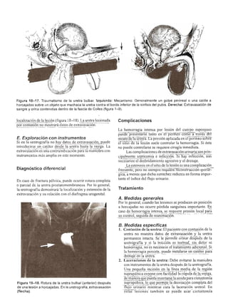 Urologia smith 11_ed
