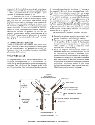 Urologia smith 11_ed