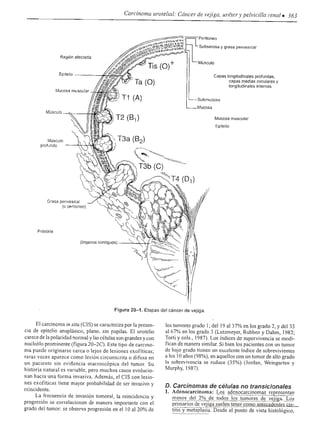 Urologia smith 11_ed