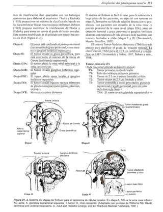Urologia smith 11_ed