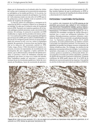 Urologia smith 11_ed