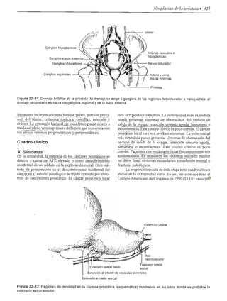 Urologia smith 11_ed