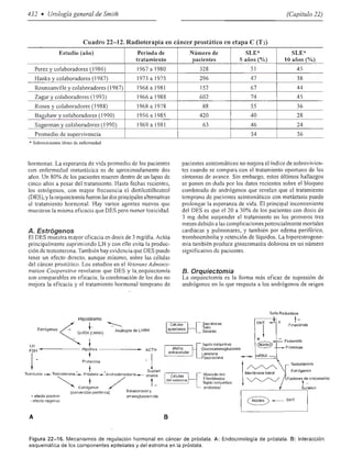 Urologia smith 11_ed