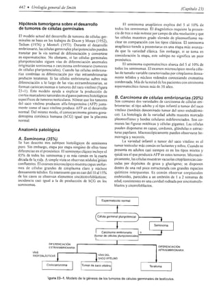 Urologia smith 11_ed