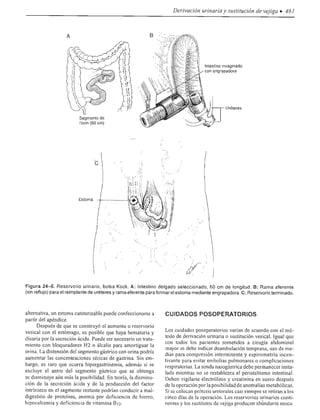 Urologia smith 11_ed