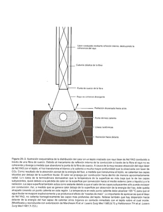 Urologia smith 11_ed