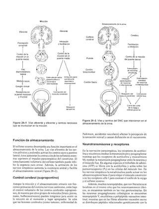 Urologia smith 11_ed