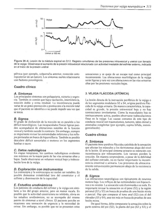 Urologia smith 11_ed