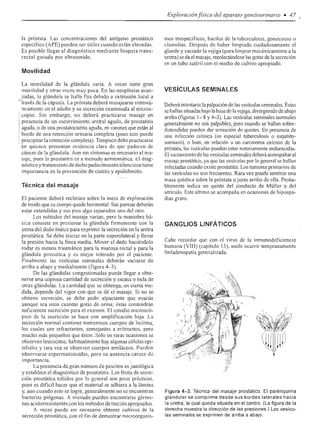 Urologia smith 11_ed