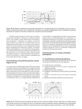 Urologia smith 11_ed