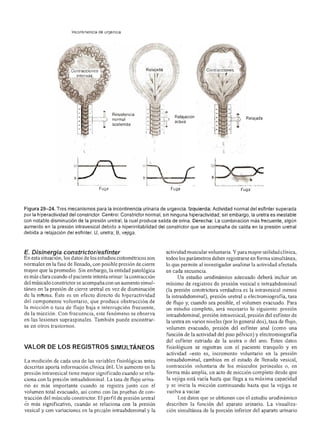 Urologia smith 11_ed