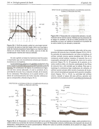 Urologia smith 11_ed