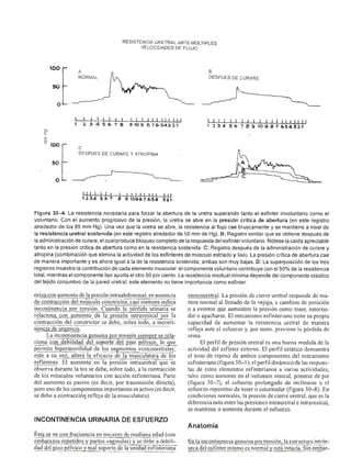 Urologia smith 11_ed