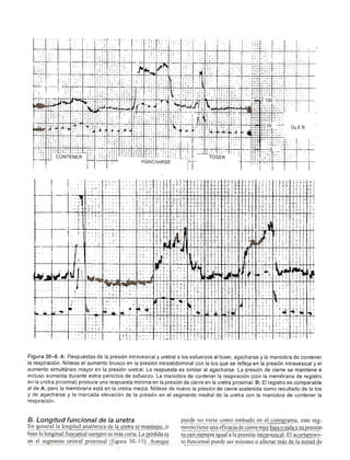 Urologia smith 11_ed