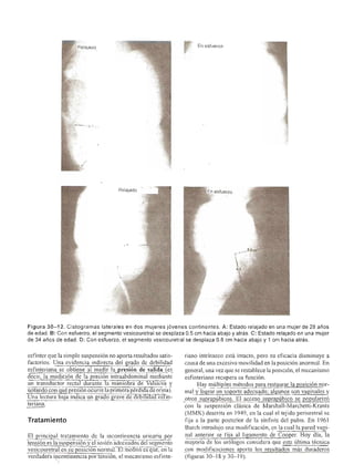 Urologia smith 11_ed