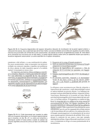 Urologia smith 11_ed