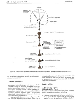 Urologia smith 11_ed