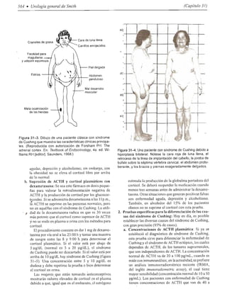 Urologia smith 11_ed