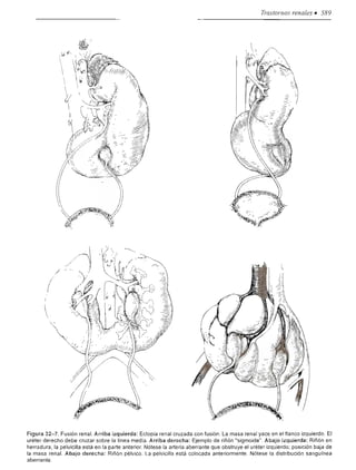 Urologia smith 11_ed