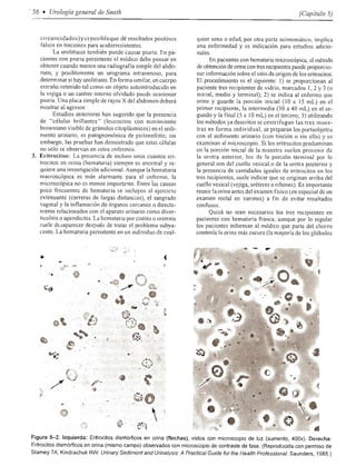 Urologia smith 11_ed