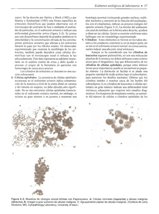 Urologia smith 11_ed