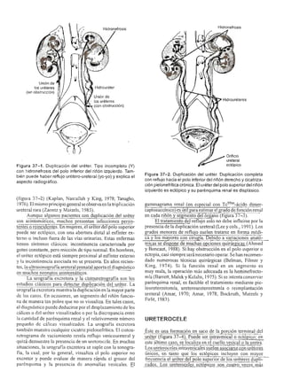 Urologia smith 11_ed