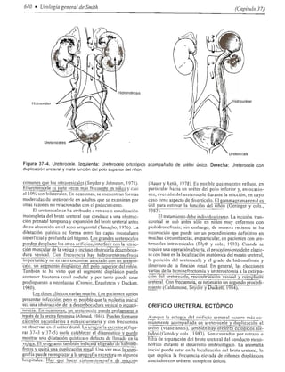 Urologia smith 11_ed