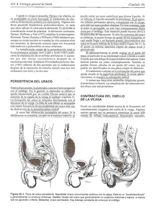 Urologia smith 11_ed