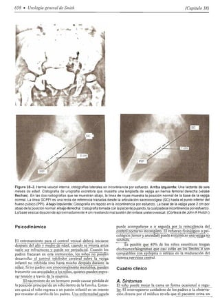 Urologia smith 11_ed