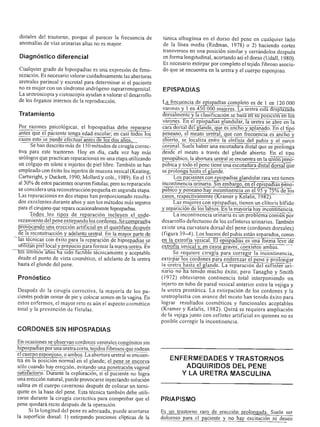 Urologia smith 11_ed