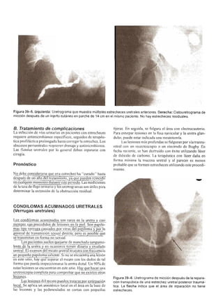 Urologia smith 11_ed