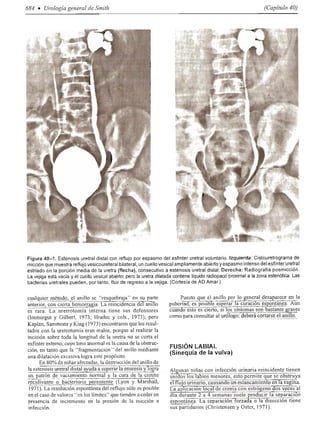 Urologia smith 11_ed
