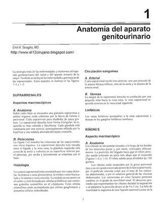 Urologia smith 11_ed